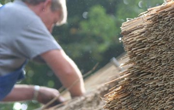 professional Rahony thatchers