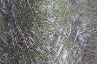 Rahony fibreglass roof work